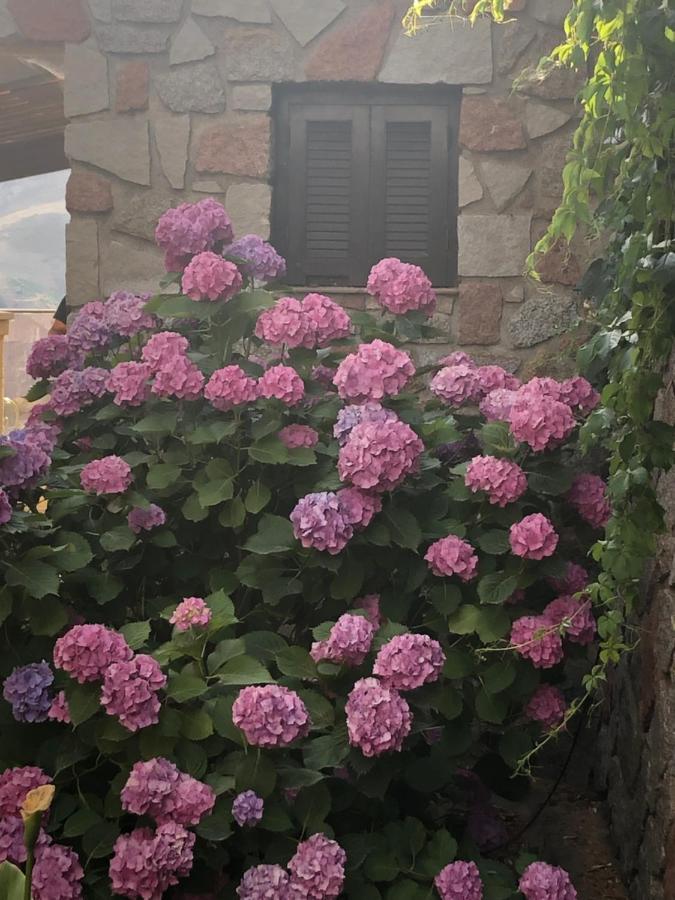 A Casa Di Gemma Villa *