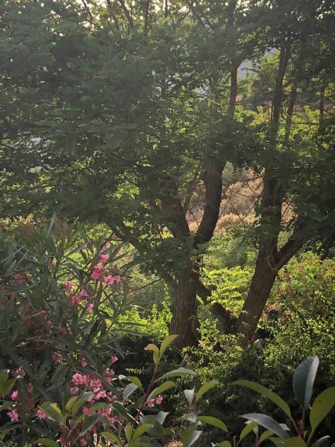 Villa A Casa Di Gemma